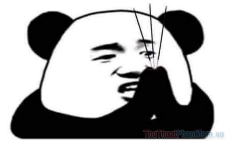 Đồng hành cùng bộ sưu tập meme gấu trúc Weibo hài bá đạo