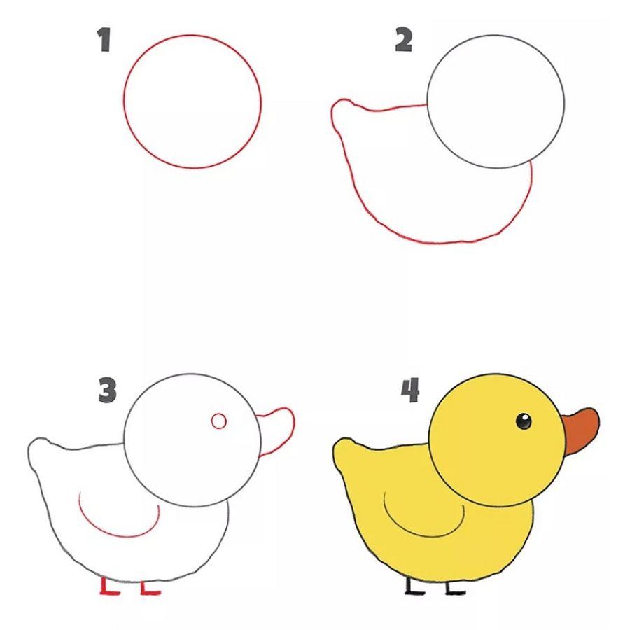 Hướng dẫn cách vẽ con vật đơn giản chỉ trong vài nét