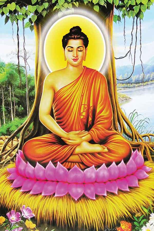 400+ Hình Phật và ảnh Bồ Tát đẹp nhất 2024 chất lượng cao