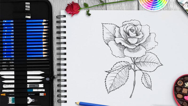 Vẽ hoa hồng: Cách vẽ hoa hồng siêu dễ thương