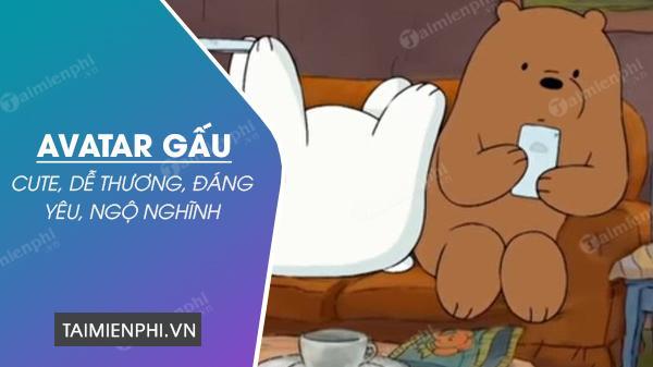 Avatar Gấu Cute, Dễ Thương, Siêu Ngộ Nghĩnh, Đáng Yêu