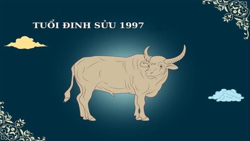 Đinh Sửu 1997 năm nay bao nhiêu tuổi? Học lớp 1, 6, 9, 12 năm nào?