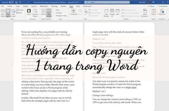 Ảnh 1: Cách copy 1 trang Word hay sao chép nguyên 1 trang trong word không chỉ có 1 cách (Nguồn: Internet)