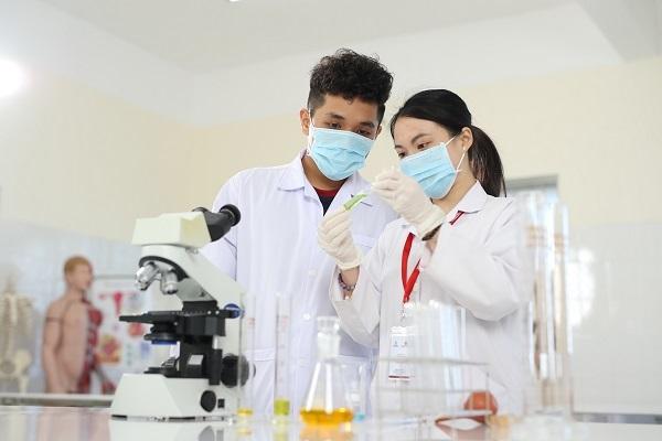 Có mấy chuyên ngành Dược? Nên học chuyên ngành Dược nào? - Yersin University I Trường Đại học Yersin Đà Lạt