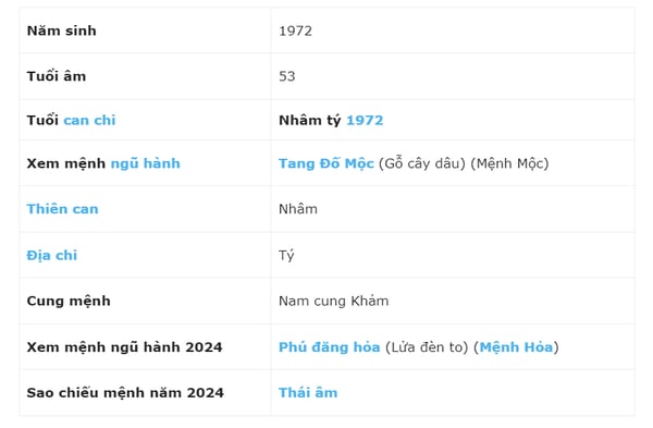 xem-tu-vi-tuoi-nham-ty-1972-nam-mang-nam-2024-chi-tiet-nhat-n17t-onehousing-1