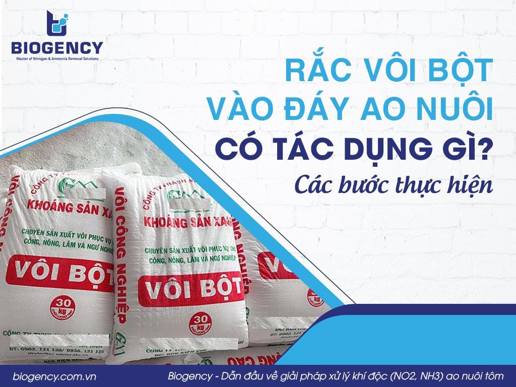 Rắc vôi bột vào đáy ao nuôi có tác dụng gì? Các bước thực hiện