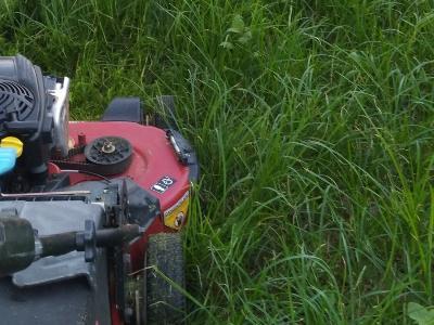 3 Good Reasons Why You Should Mow Your Lawn Regularly