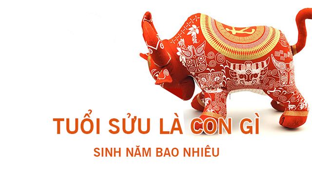 Tuổi Sửu hợp màu gì năm 2022? Xem chi tiết từng năm tuổi Sửu