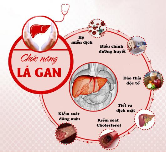 Chi tiết bài tư vấn