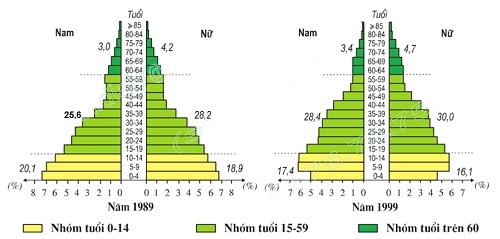 Thực hành bài 5: Phân tích và so sánh tháp dân số năm 1989 và năm 1999 Địa lí 9 trang 18