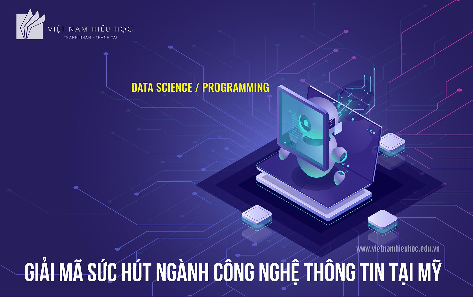 NGÀNH CÔNG NGHỆ THÔNG TIN LÀ GÌ? NHỮNG ĐIỀU CẦN BIẾT VỀ BẰNG I.T TẠI MỸ