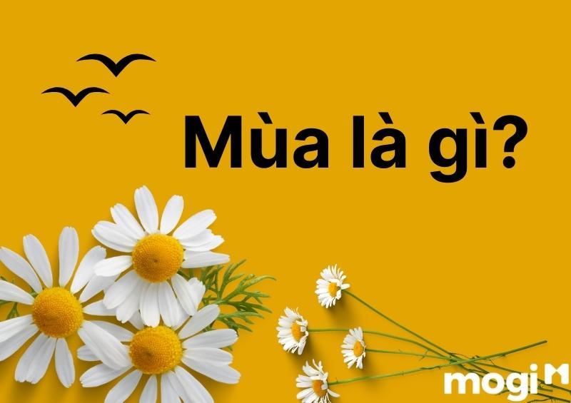 Các Mùa Trong Năm Ở Nước Việt Nam Có Đặc Điểm Gì Nổi Bật Và Đặc Biệt?