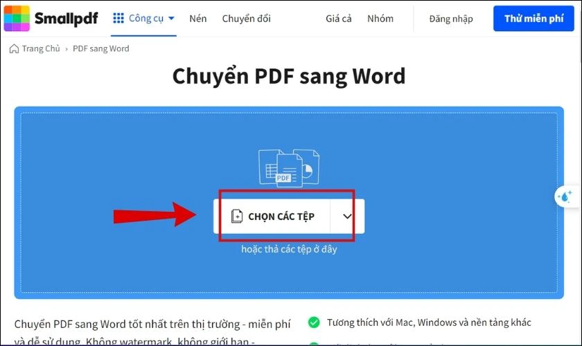 TOP phần mềm khắc phục chuyển PDF sang Word bị lỗi font hiệu quả