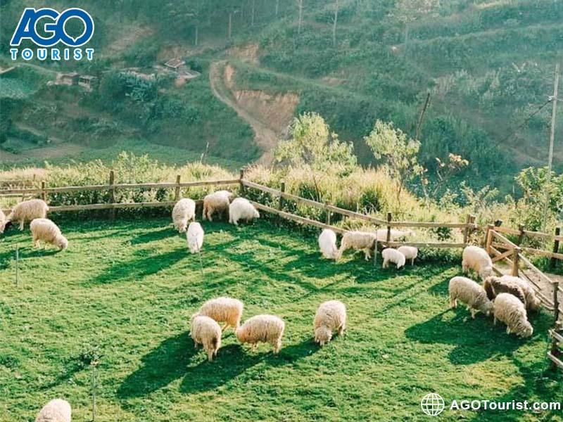 Một góc nhỏ tại Chika Farm Đà Lạt