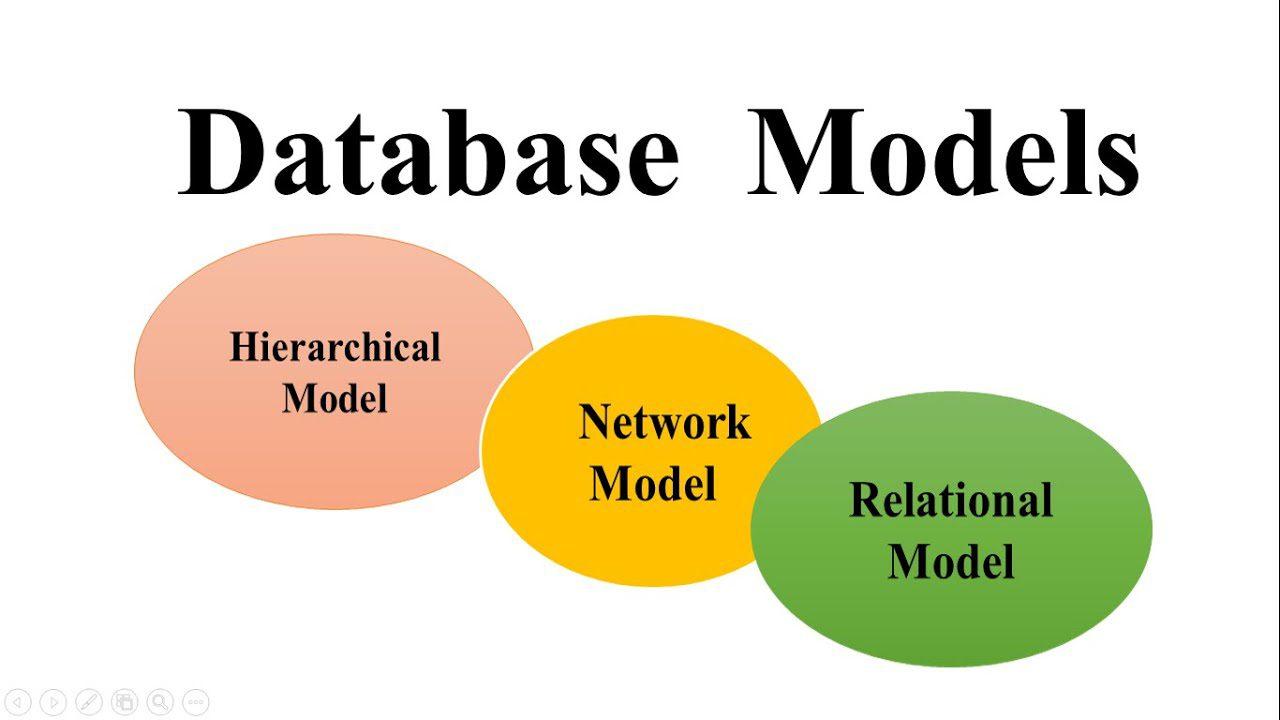 Cơ Sở Dữ Liệu (CSDL) là gì? Đặc điểm và phân loại Database