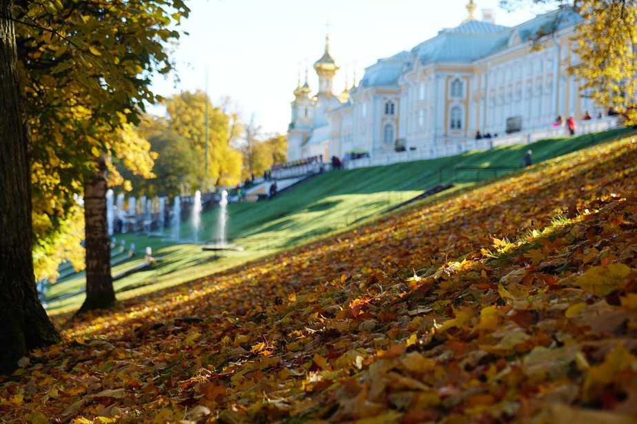 Cung Điện Mùa Hè Ở Nga – Điểm Đến Số 1 ở thành Phố Saint Petersburg