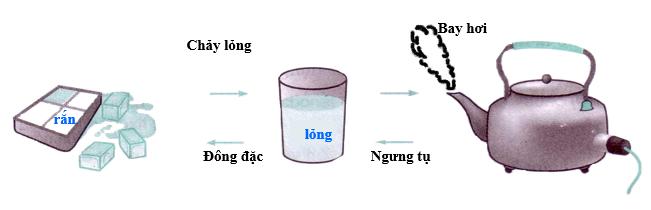 Hóa học 8 Bài 12: Sự biến đổi chất