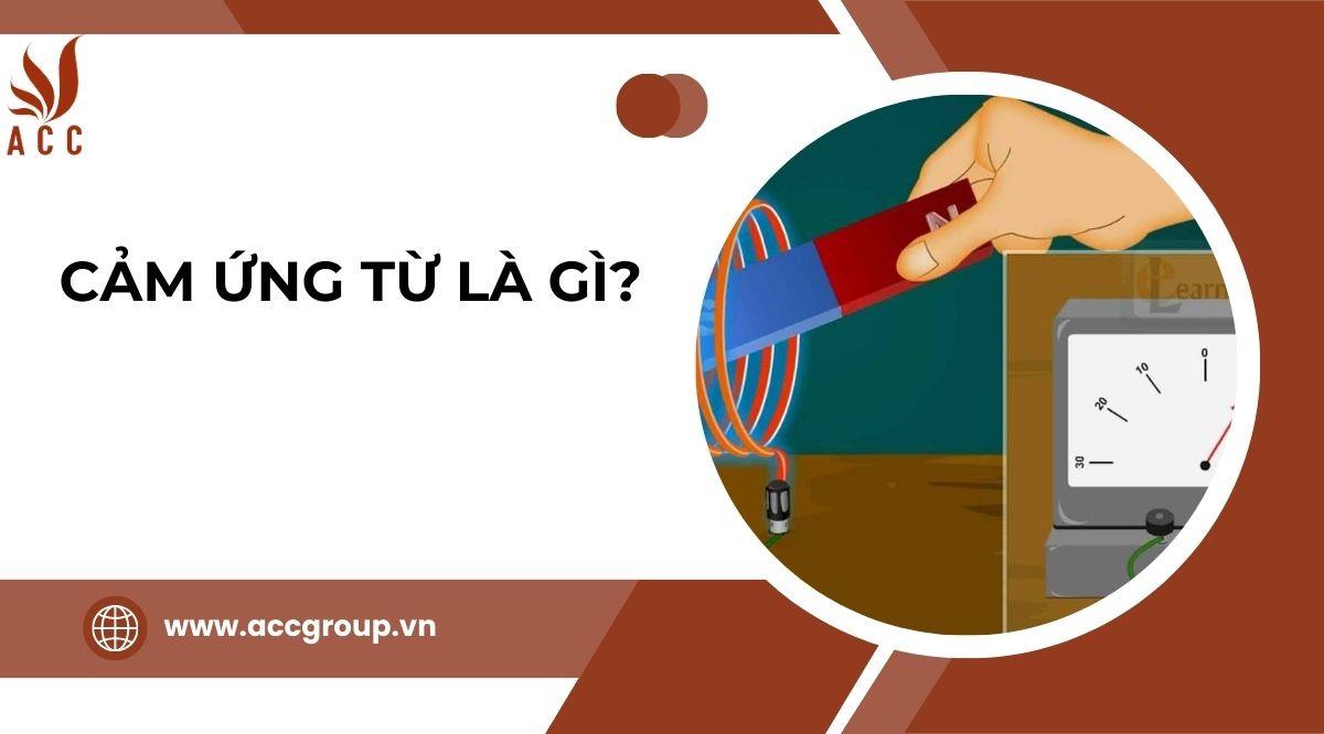 Cảm ứng từ là gì?