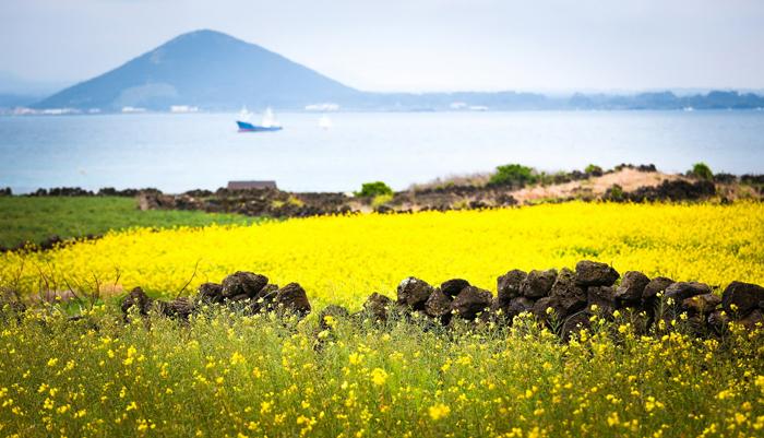 Tips du lịch Hàn Quốc mùa hè: Nên đi đâu, chơi gì?