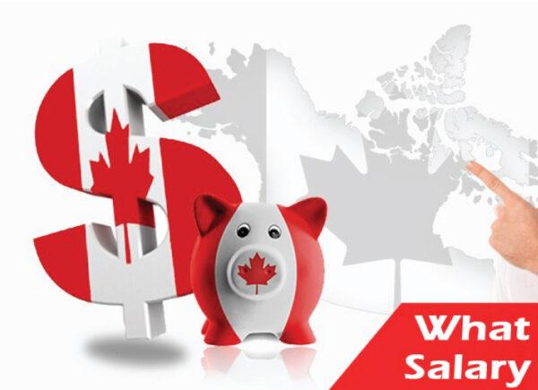 Mức lương tốt ở Canada là gì? Hướng dẫn cho người mới