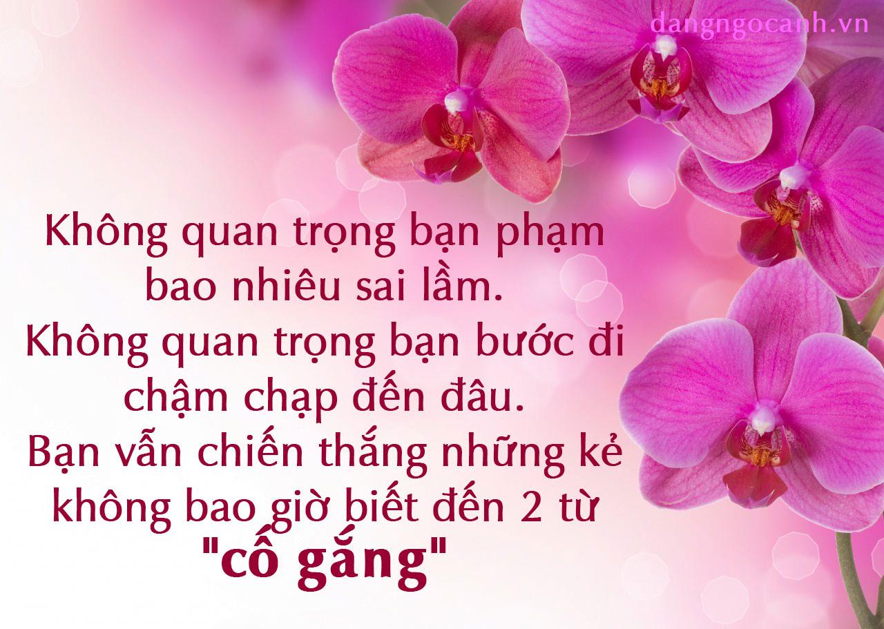 18 câu nói về cuộc đời khiến bạn phải suy nghĩ