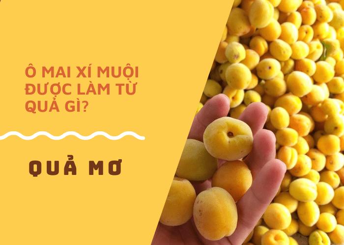 Ô mai xí muội làm từ trái gì?