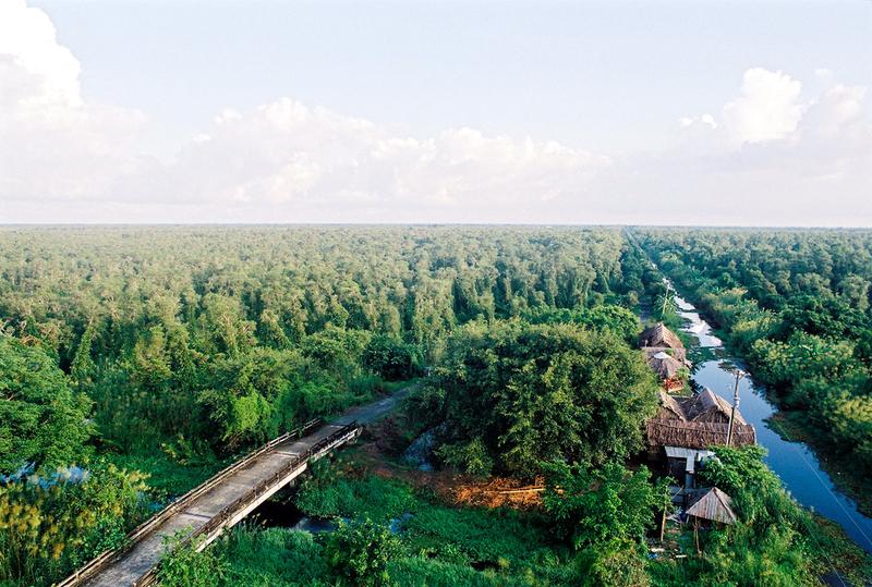 Khám phá rừng tràm U Minh với những điều kỳ thú của thiên nhiên