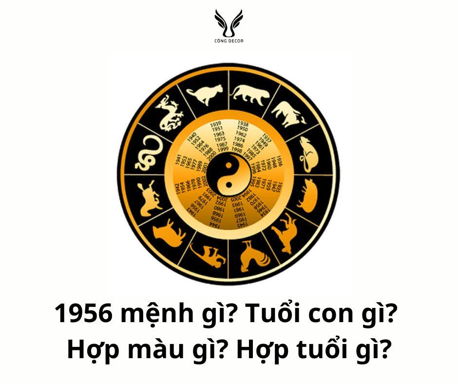 Người sinh năm 1956 mệnh gì? Nam nữ 1956 tuổi con gì? Hợp màu gì? Hợp tuổi gì?