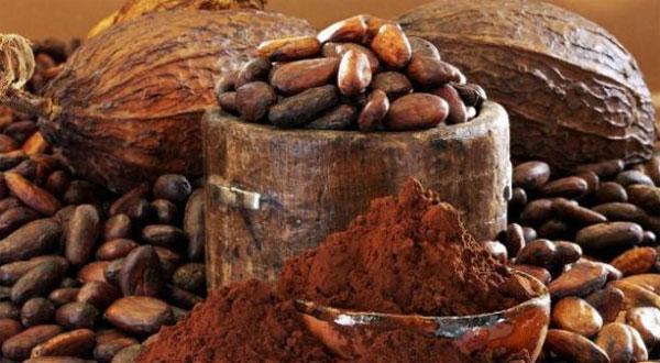 Hãy uống thêm cacao để bổ sung các “chiến binh” chống oxy hóa bảo vệ cơ