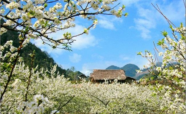 Tour Du Lịch