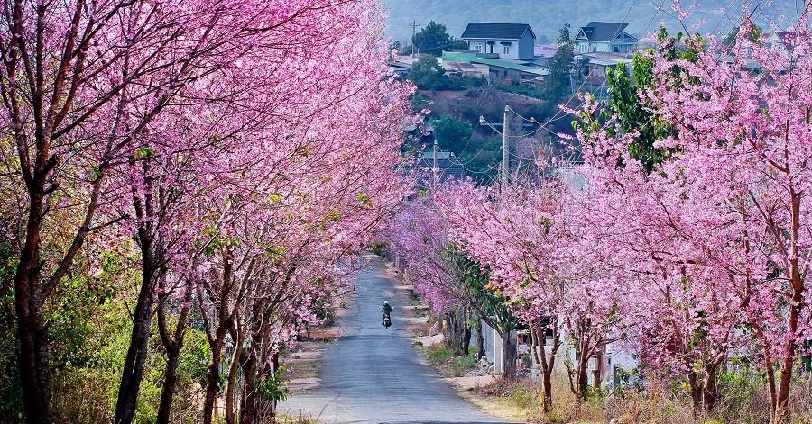 Tại sao lại có bốn mùa trong năm?