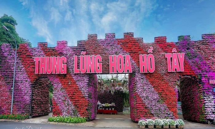 Kinh nghiệm khám phá thung lũng hoa Hồ Tây chi tiết (2024)