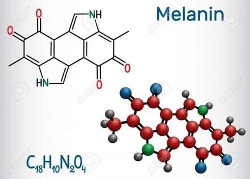 Melanin là yếu tố quyết định màu sắc của tóc