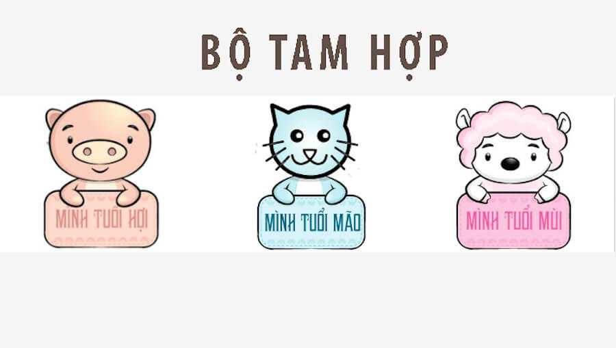 Tam hợp tuổi Hợi là gì và những điều không nên bỏ qua