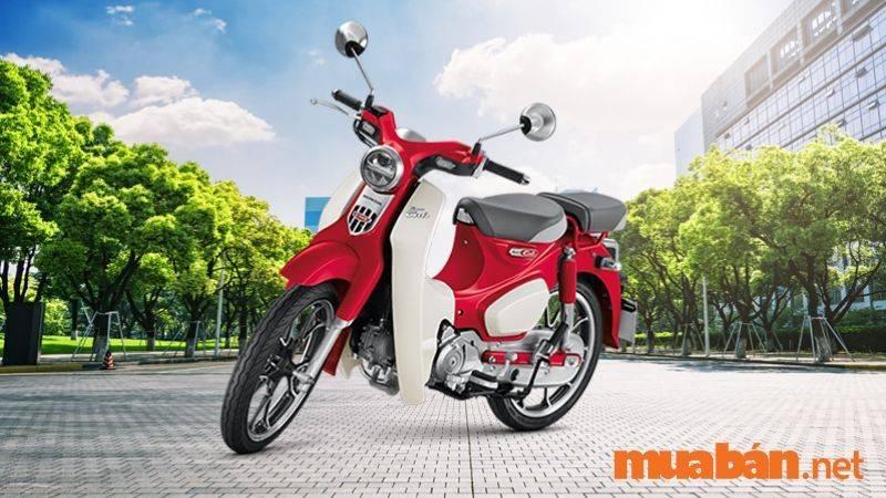 Mua Bán Xe Honda Cub Cũ Giá Rẻ, Uy Tín T9/2024