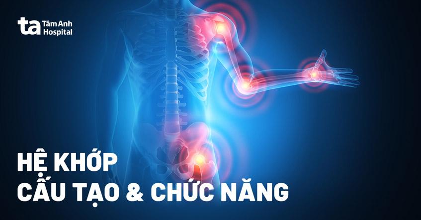 cấu tạo chức năng của hệ khớp