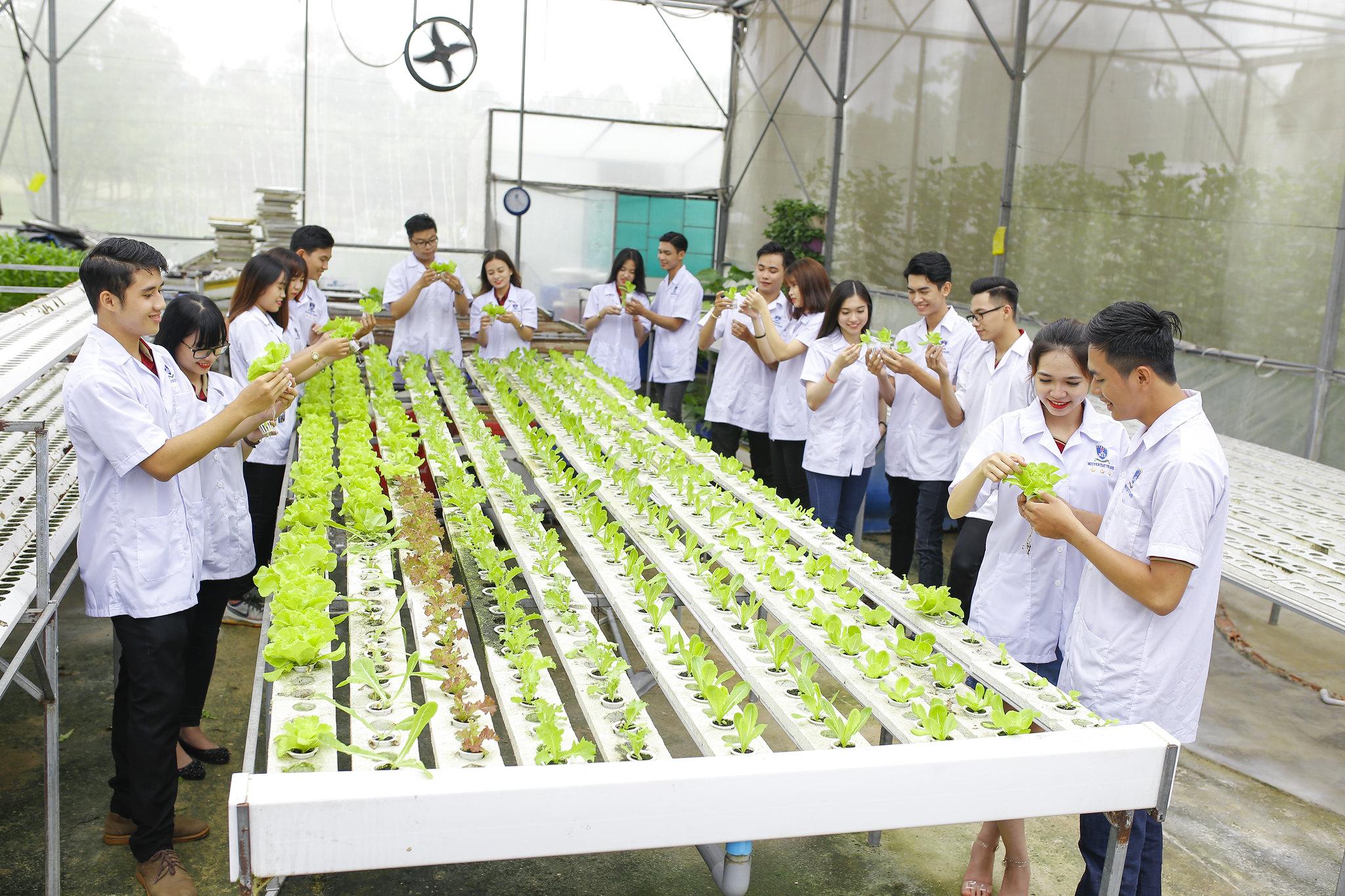 Ngành Quản lý Tài nguyên và Môi trường học trường nào?