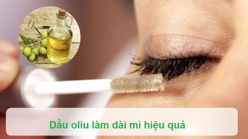 Dầu oliu làm dài mi hiệu quả