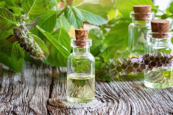 Frankincense là gì ? 9 công dụng và lợi ích khi sử dụng