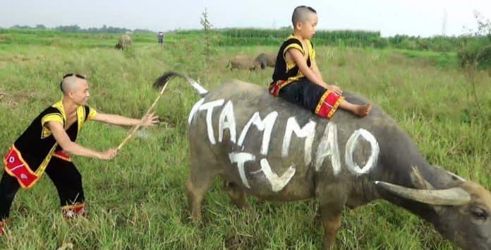 Ông Đỗ Cao Bảo: "Mao đệ và Mao đại ca là minh chứng sống động về kinh tế số"