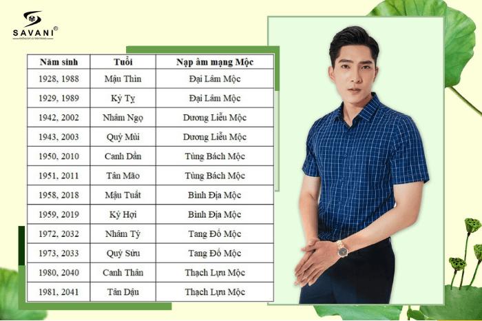 Mệnh Mộc hợp màu gì? Màu sắc phong thủy cho người mệnh Mộc