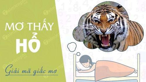 Mơ thấy hổ, hổ rượt, vồ, chơi với hổ